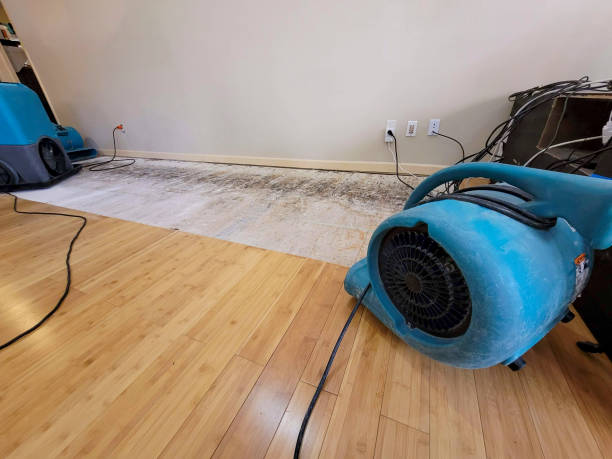 Professional Basement Flood Cleanup technician working in Overpeck, OH